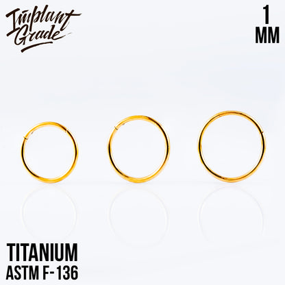 Gold Hinged Segment Ring 1 (18 G)