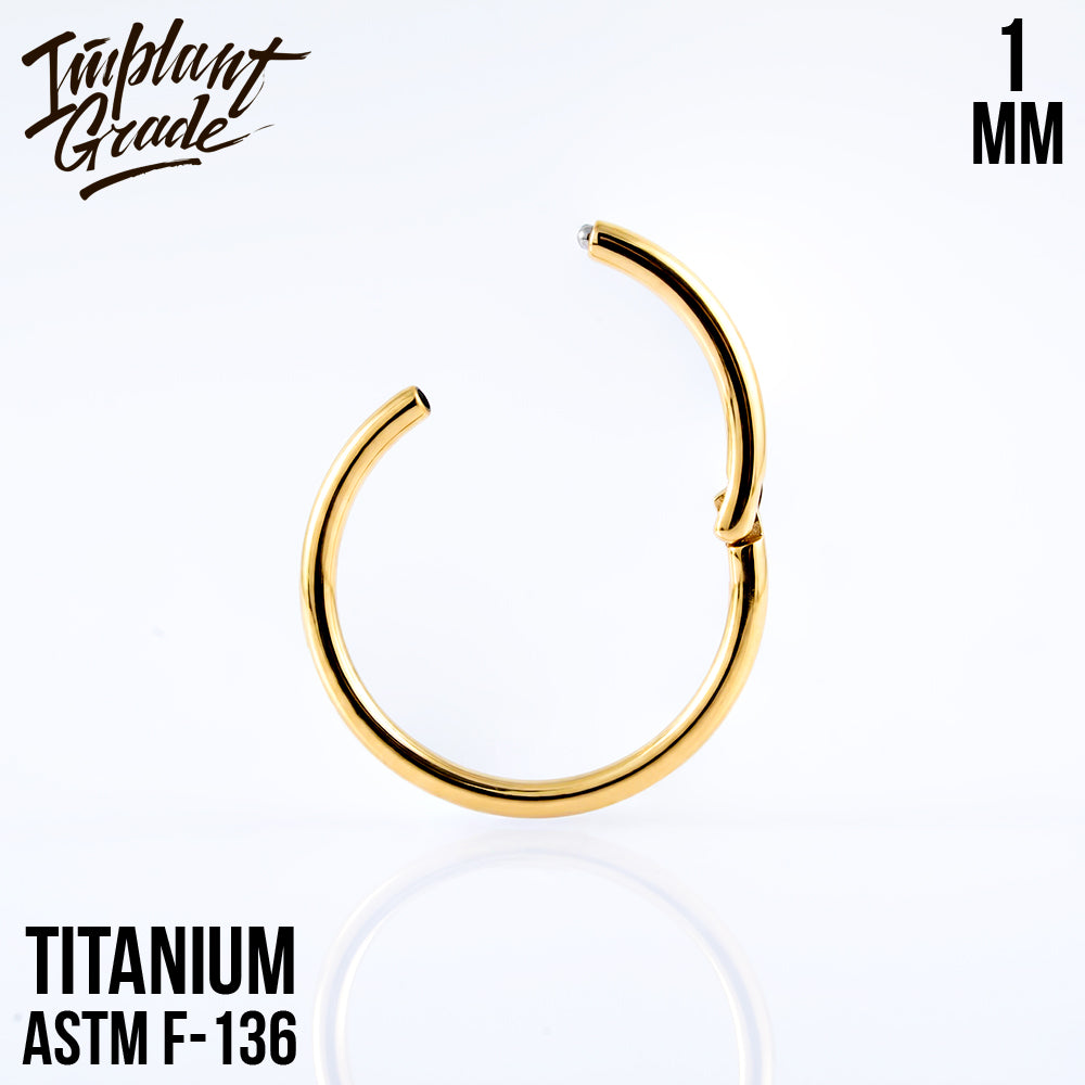 Gold Hinged Segment Ring 1 (18 G)