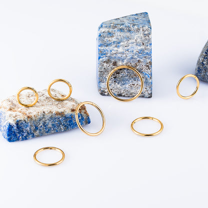 Gold Hinged Segment Ring 1 (18 G)