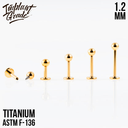 Gold labret 1.2 (16 G)