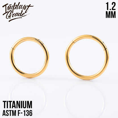 Gold Hinged Segment Ring 1.2 (16 G)