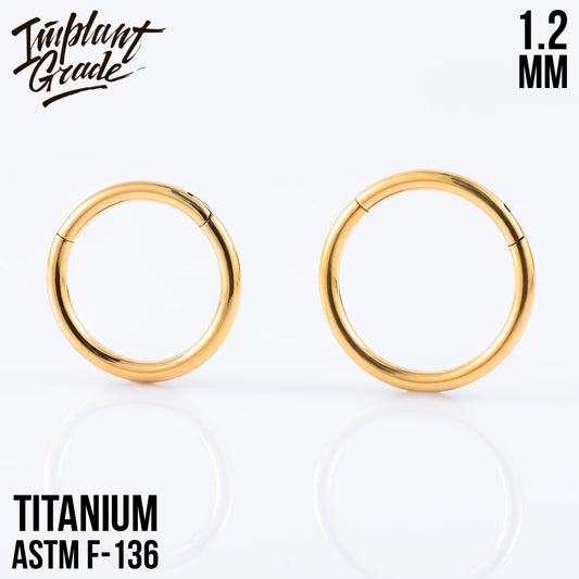 Gold Hinged Segment Ring 1.2 (16 G)