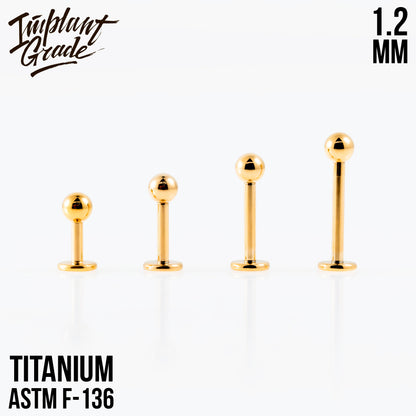 Gold labret 1.2 (16 G)