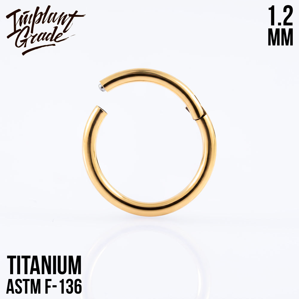 Gold Hinged Segment Ring 1.2 (16 G)