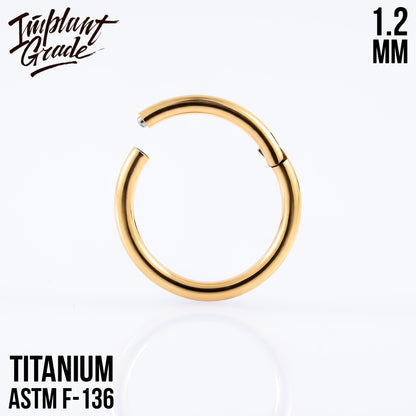 Gold Hinged Segment Ring 1.2 (16 G)