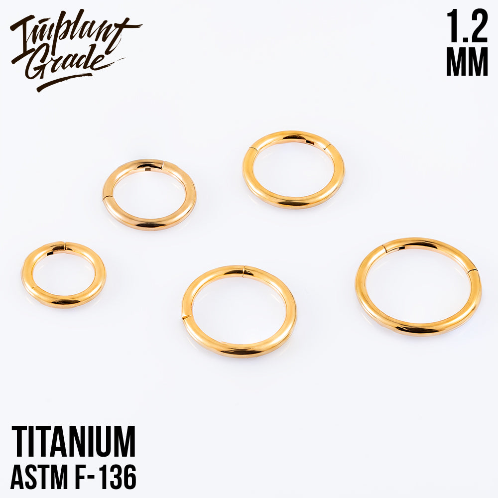 Gold Hinged Segment Ring 1.2 (16 G)