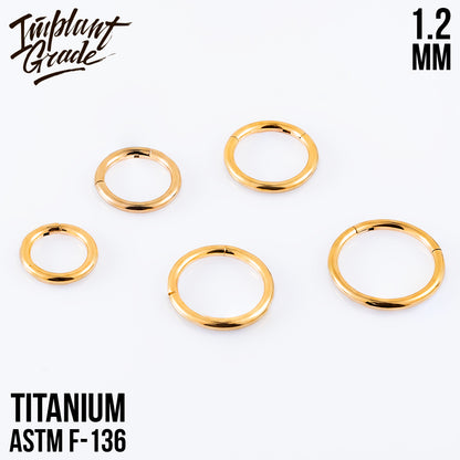 Gold Hinged Segment Ring 1.2 (16 G)