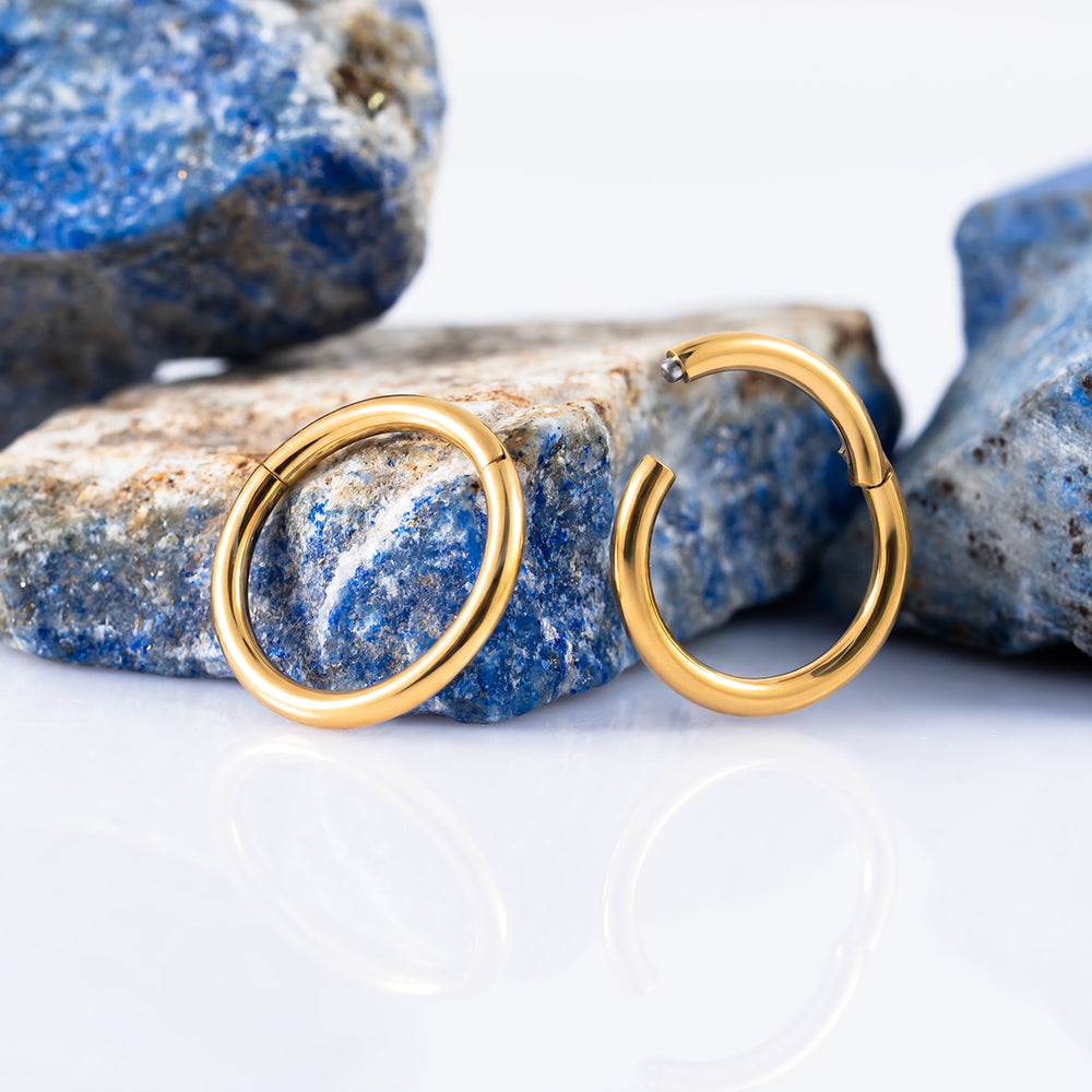 Gold Hinged Segment Ring 1.2 (16 G)