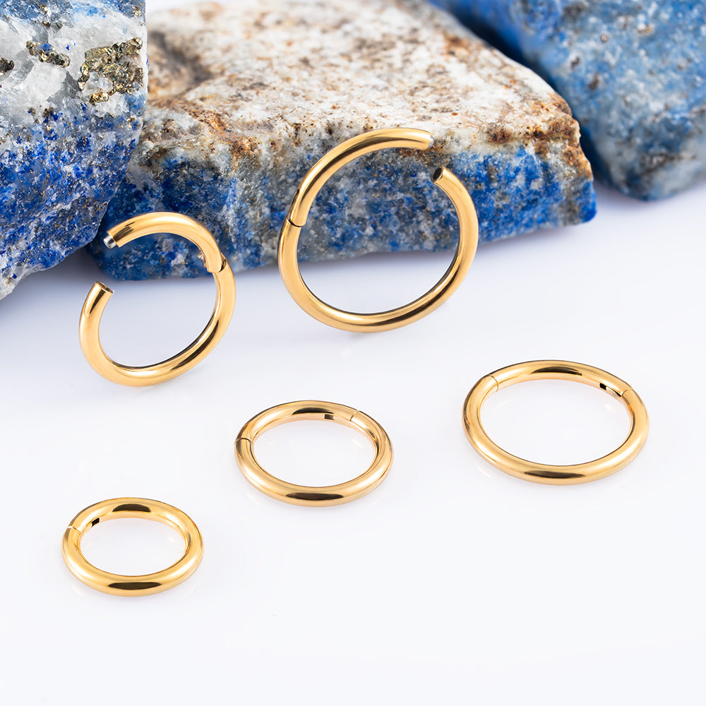 Gold Hinged Segment Ring 1.2 (16 G)