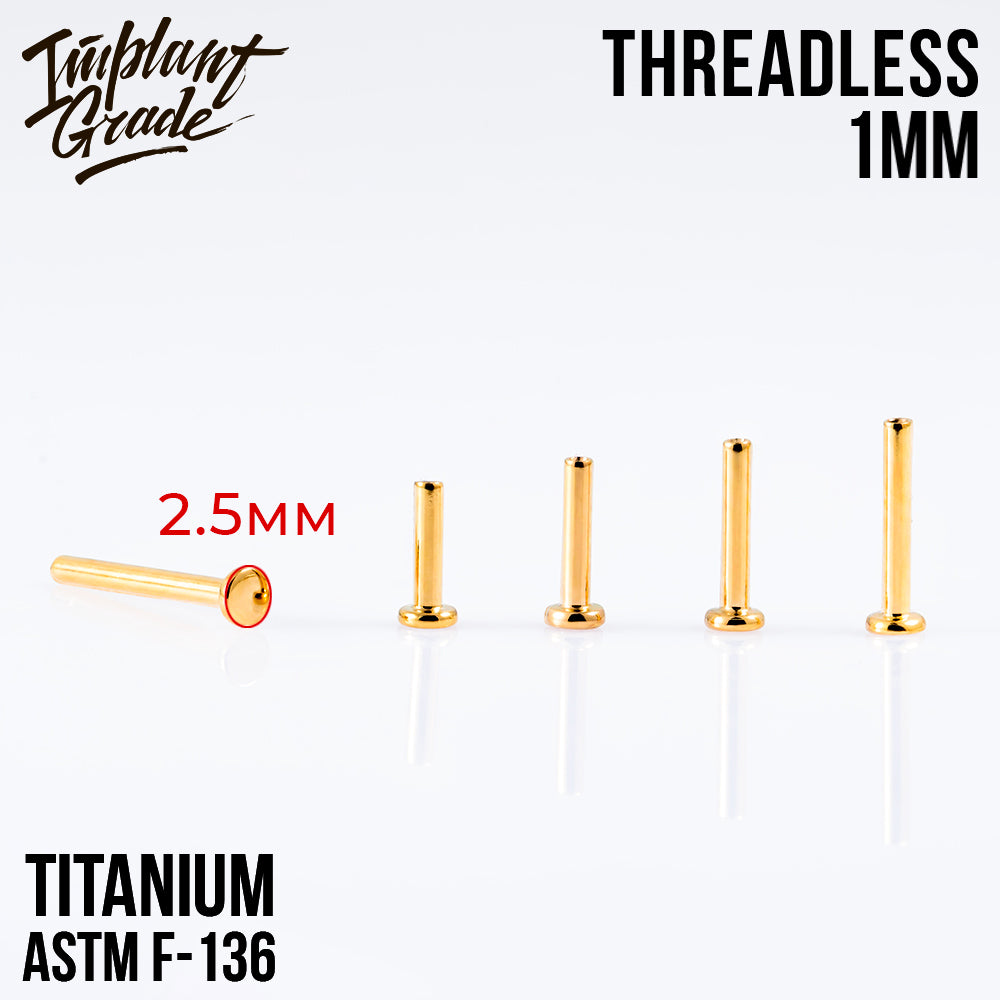 Threadless Gold labret post mini 1 (18 G) base 2.5 mm