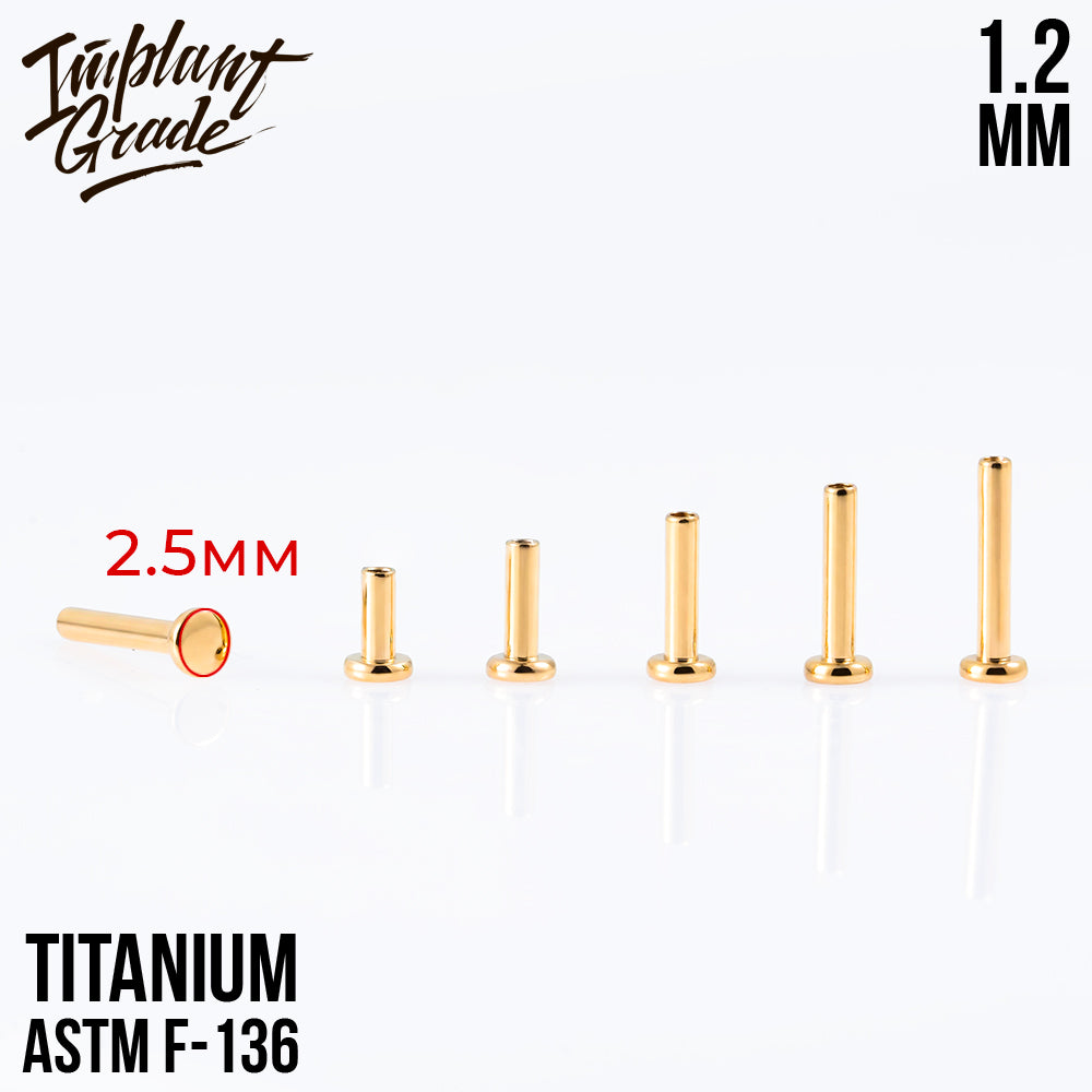 Labret post Gold MINI 1.2 (16 G) base 2.5 mm