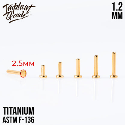 Labret post Gold MINI 1.2 (16 G) base 2.5 mm