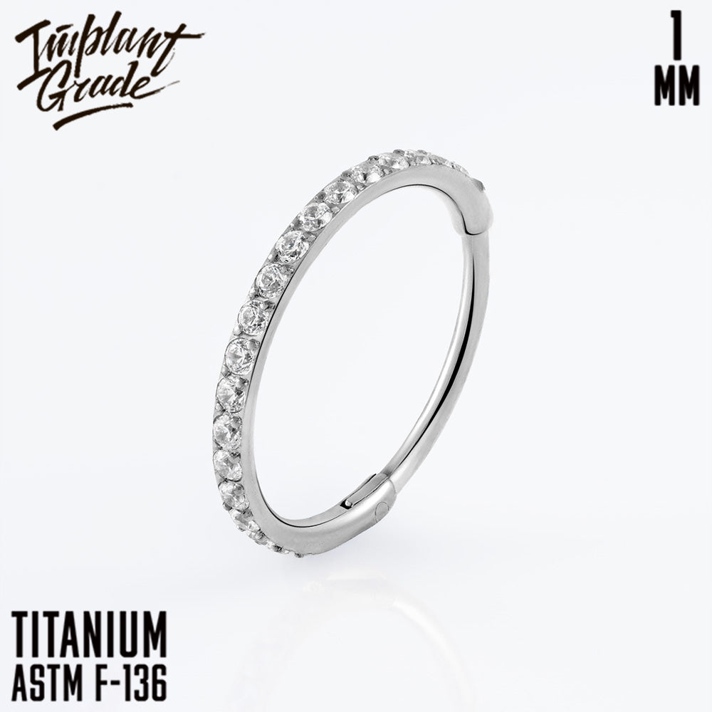 Insight Hinged Segment Ring 1 (18 G)