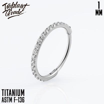 Insight Hinged Segment Ring 1 (18 G)