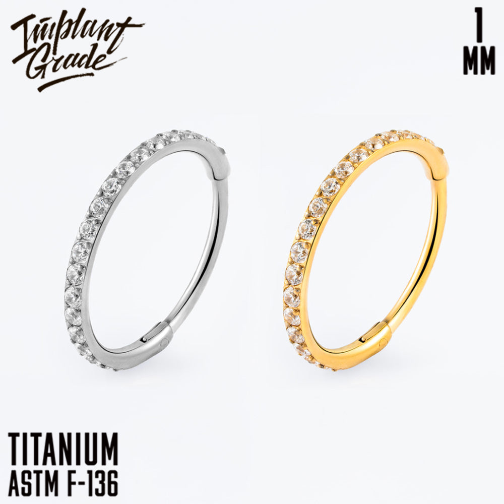 Insight Hinged Segment Ring 1 (18 G)