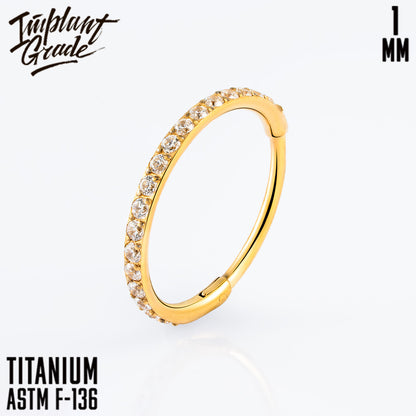 Insight Hinged Segment Ring 1 (18 G)