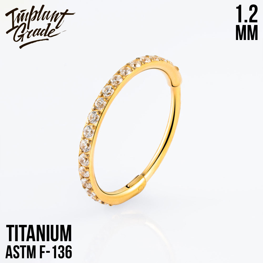 Insight Hinged Segment Ring 1.2 (16 G)