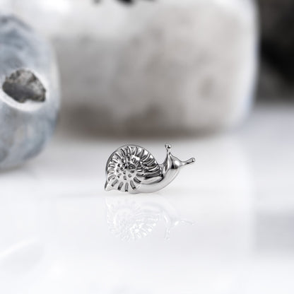 Land Snail top 1.2