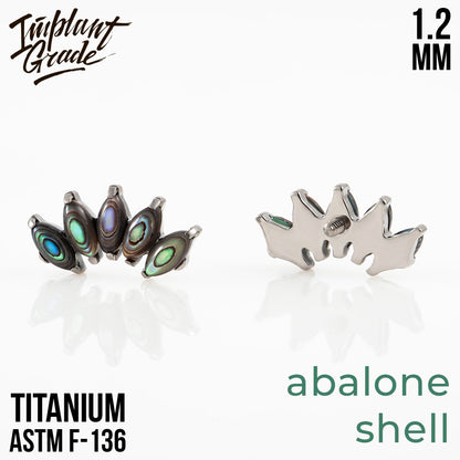 5 Stones Marquise Abalone Shell Cluster 1.2