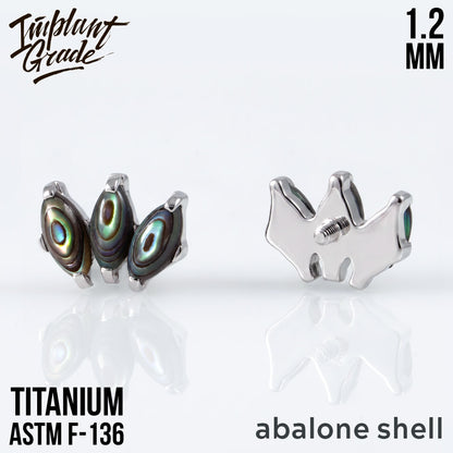 Marquise vol.2 Abalone Shell Cluster 1.2