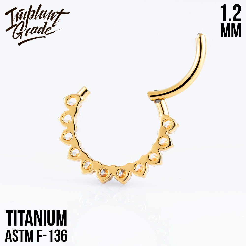 Glory Hinged Segment Ring 1.2 (16 G)