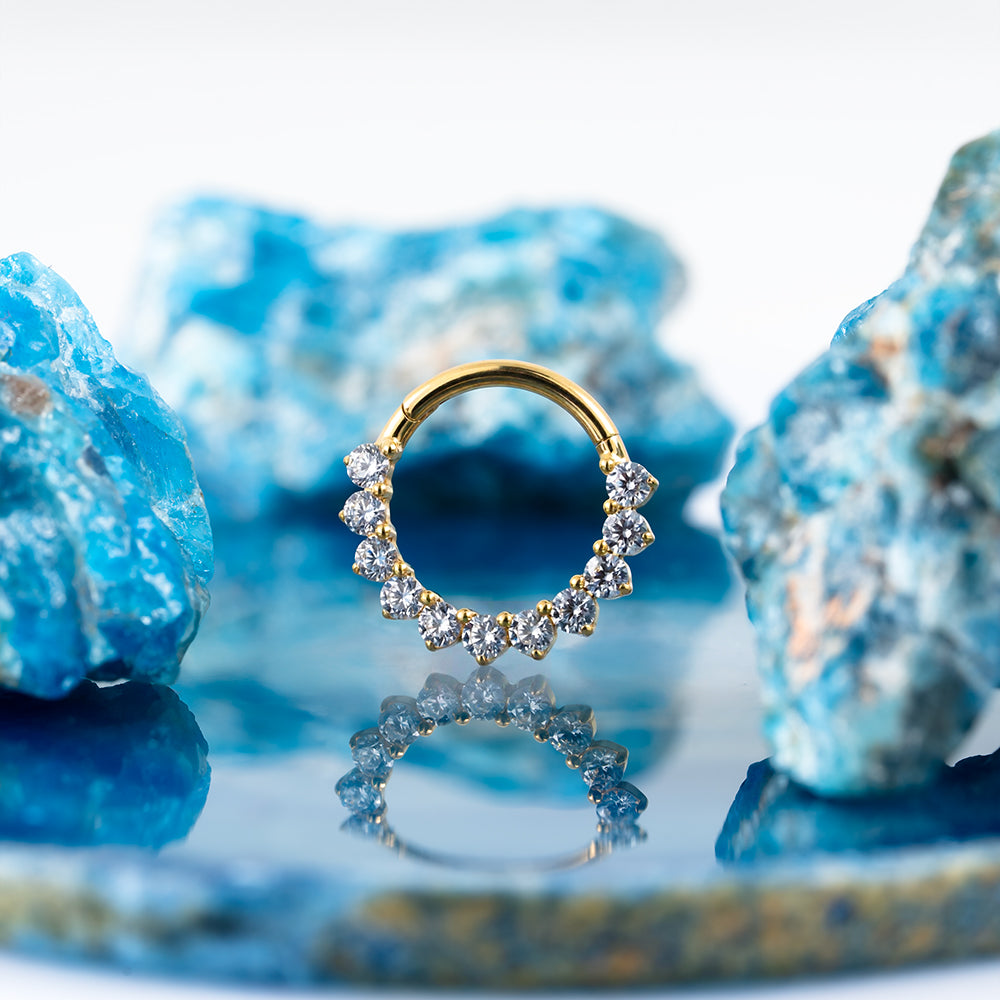 Glory Hinged Segment Ring 1.2 (16 G)