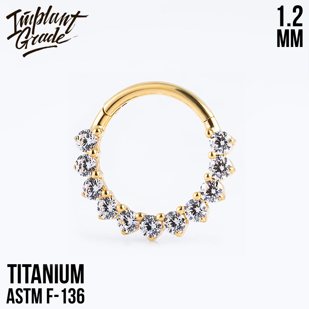 Glory Hinged Segment Ring 1.2 (16 G)