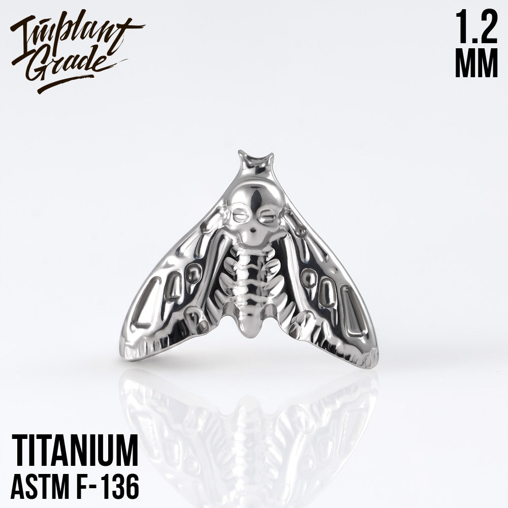 Moth top 1.2
