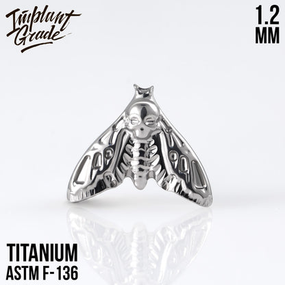 Moth top 1.2