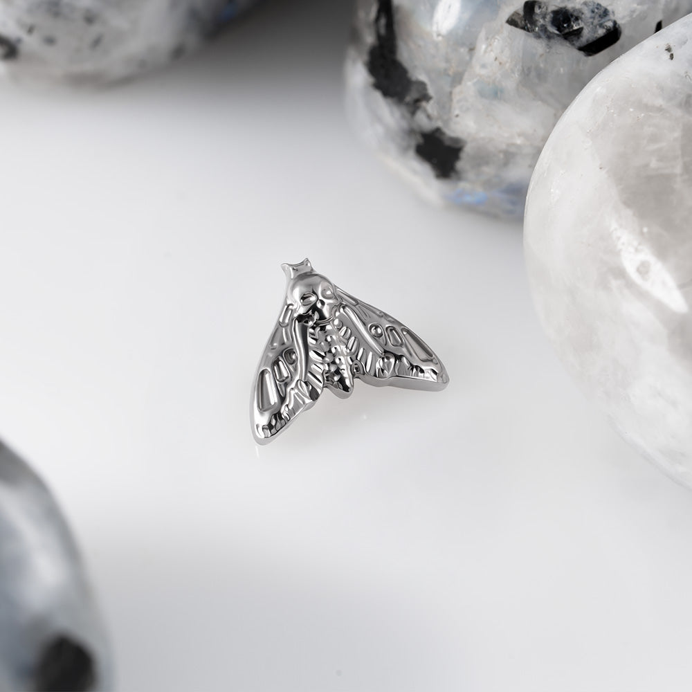 Moth top 1.2