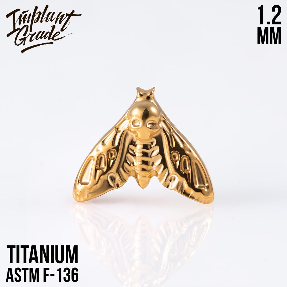 Moth top 1.2