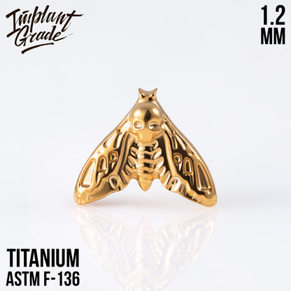 Moth top 1.2