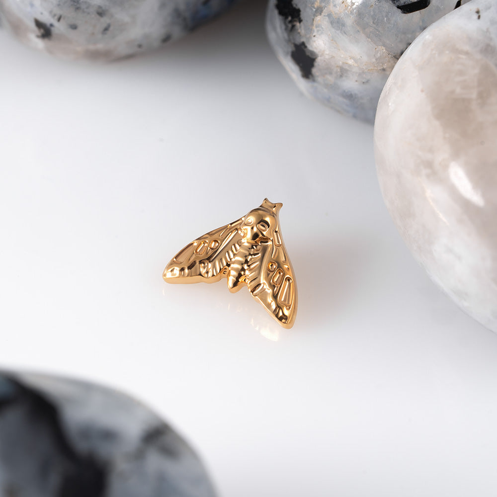 Moth top 1.2