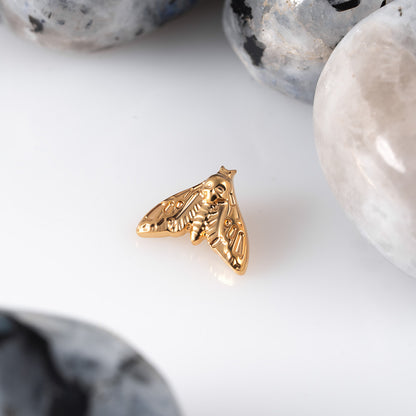 Moth top 1.2