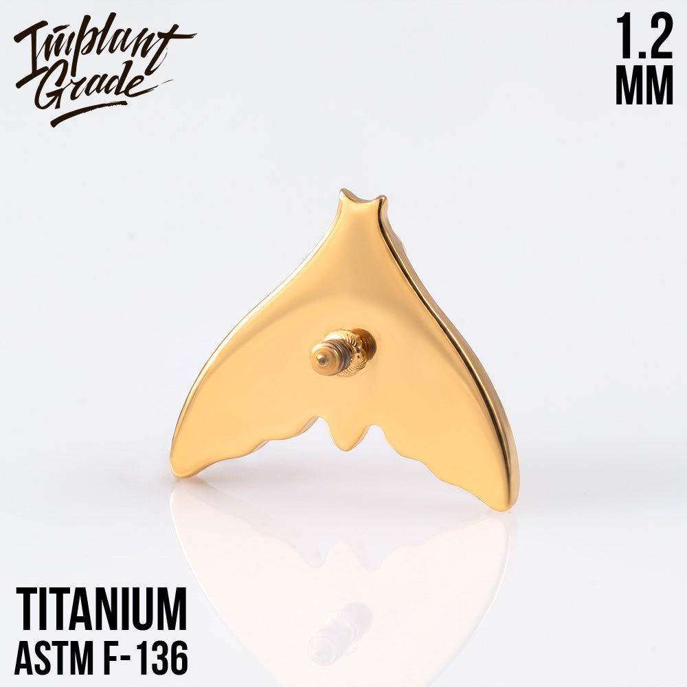 Moth top 1.2