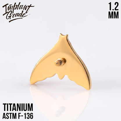 Moth top 1.2