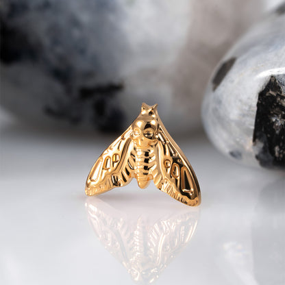 Moth top 1.2