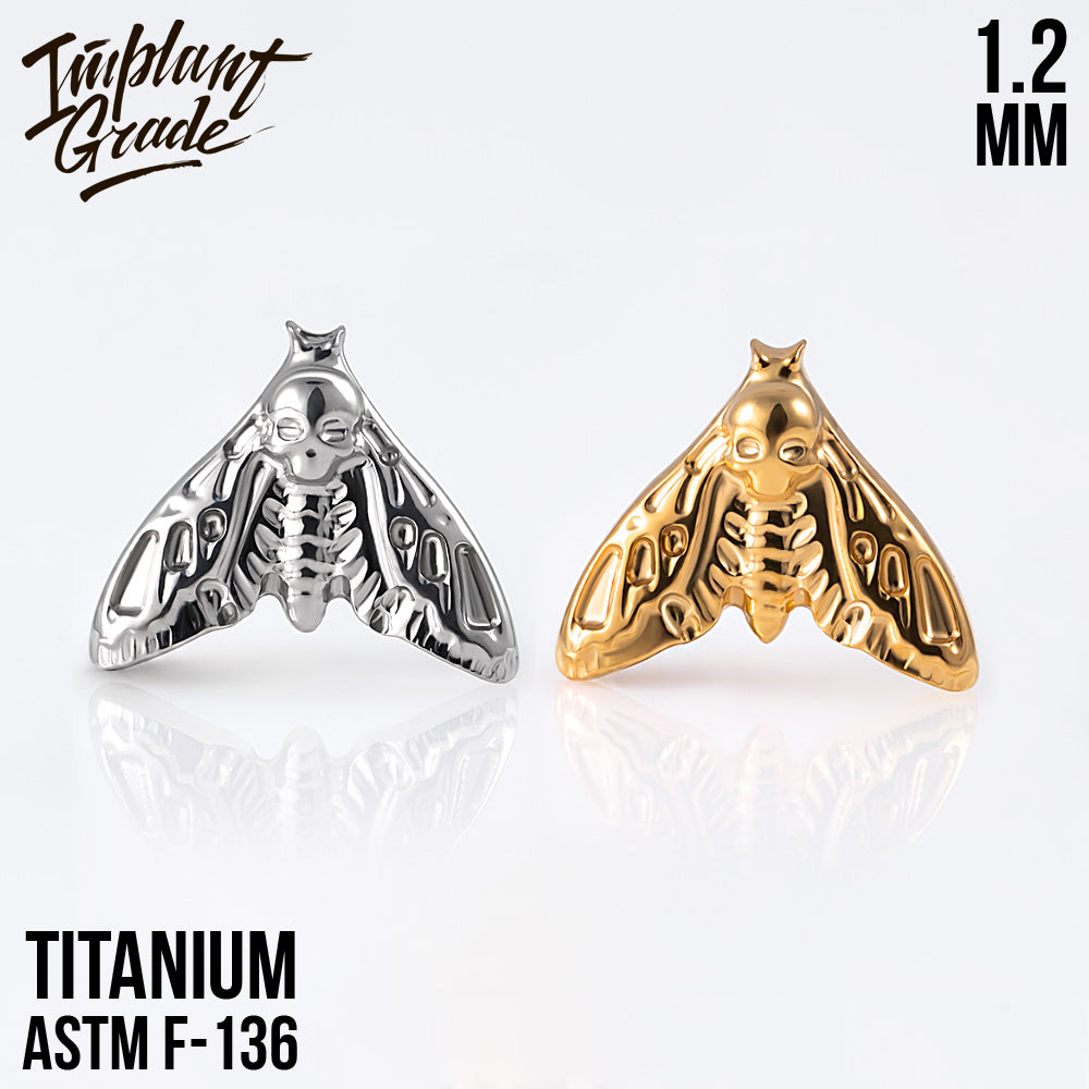 Moth top 1.2