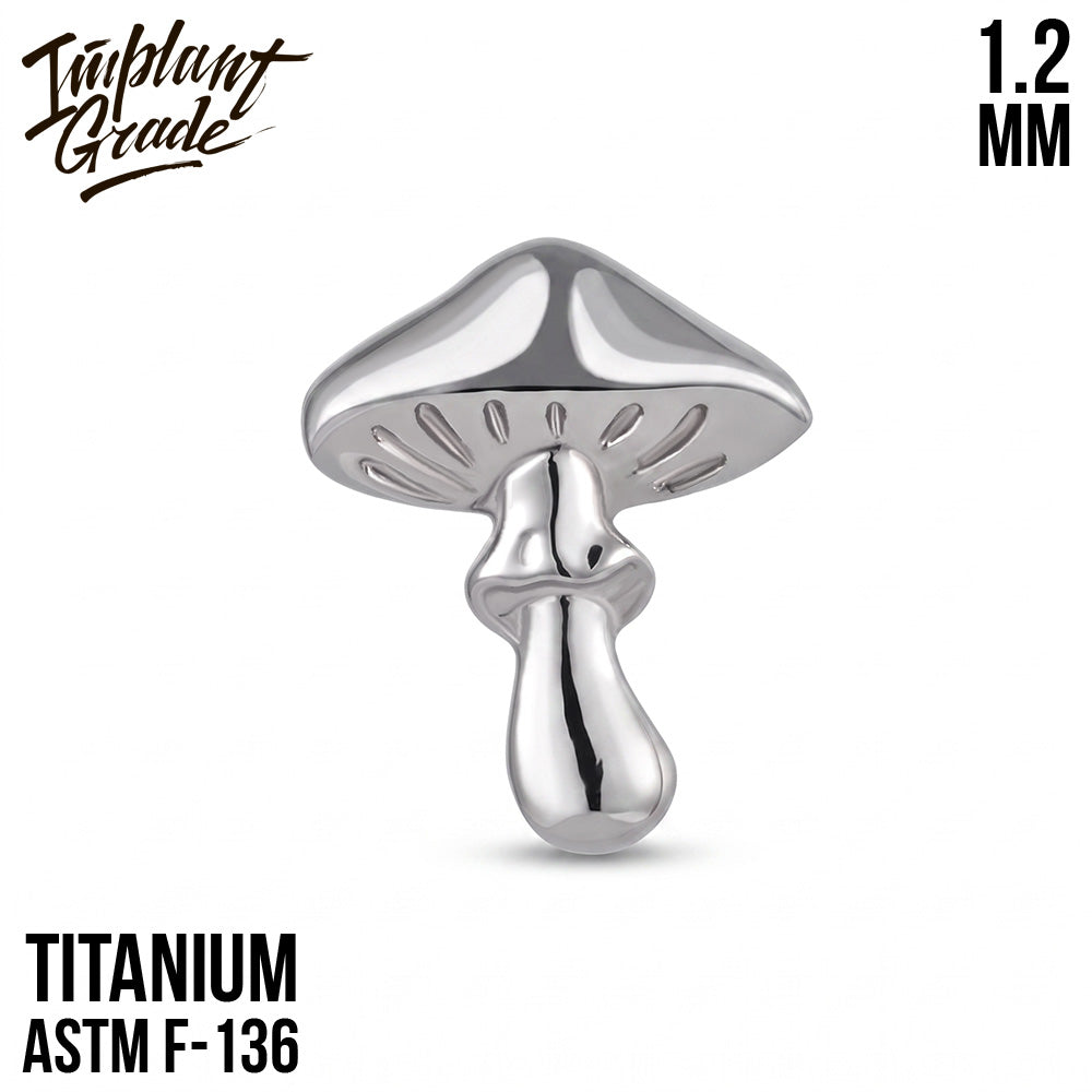 new Mushroom top 1.2