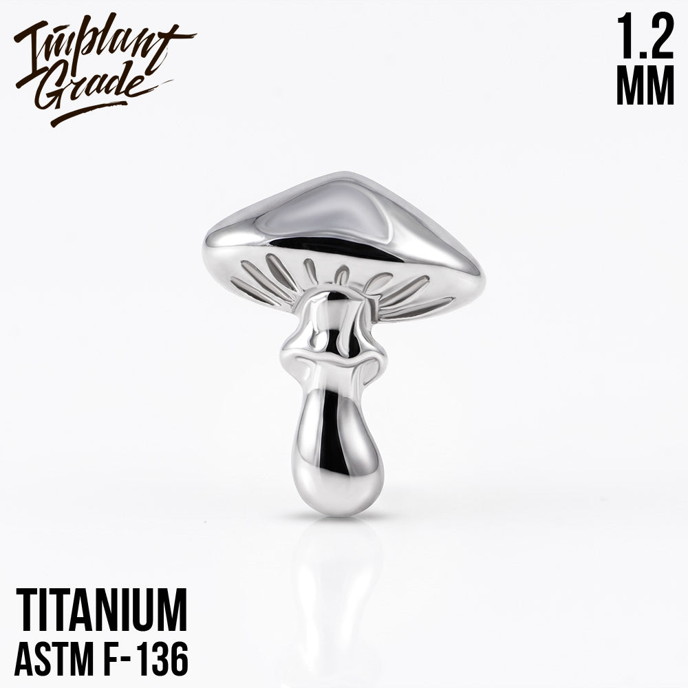 new Mushroom top 1.2