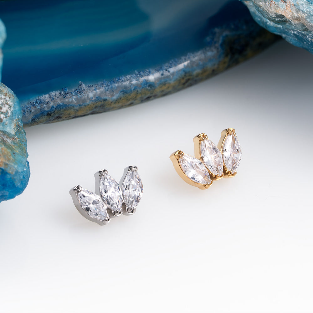 Marquise vol. 2 Cluster 1.2
