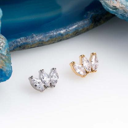 Marquise vol. 2 Cluster 1.2