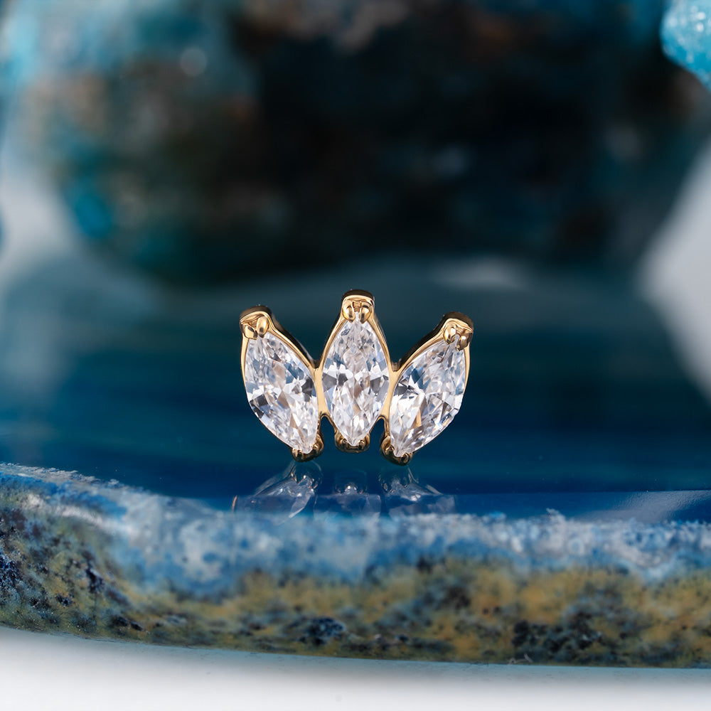 Marquise vol. 2 Cluster 1.2