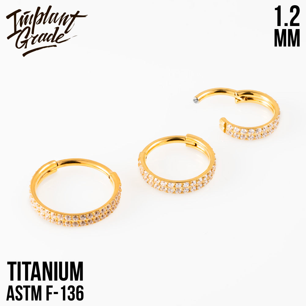 Nelly Hinged Segment Ring 1.2 (16 G)