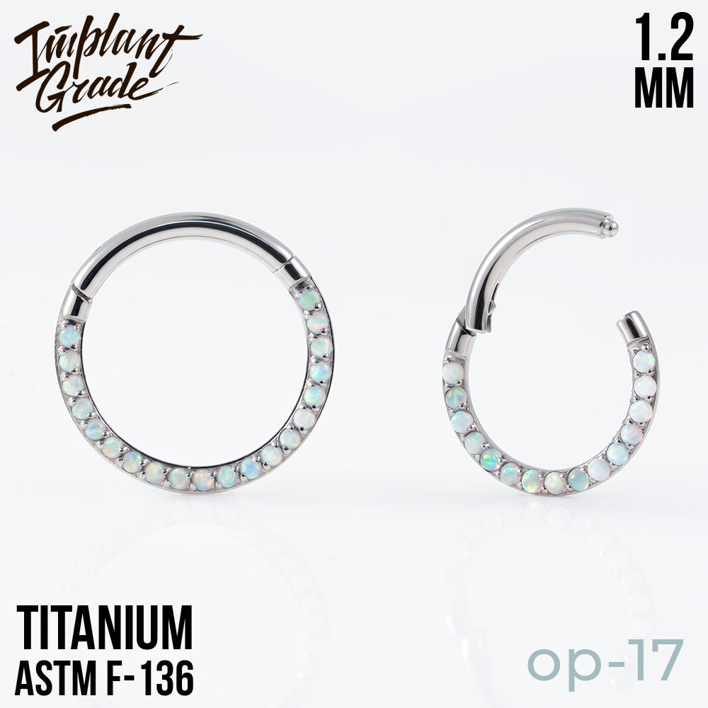 17 opal Side Hinged Segment Ring 1.2 (16 G)