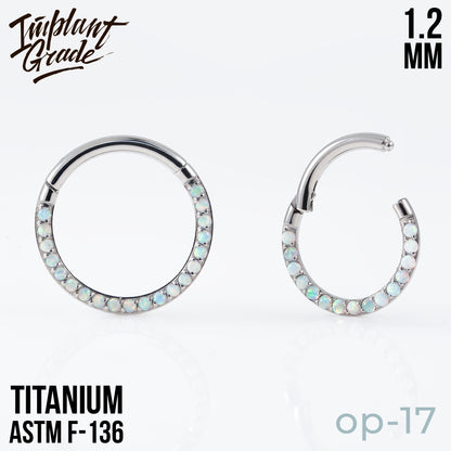 17 opal Side Hinged Segment Ring 1.2 (16 G)