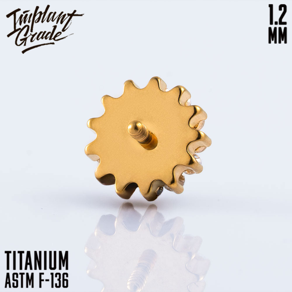 Reversed Sunflower top 1.2