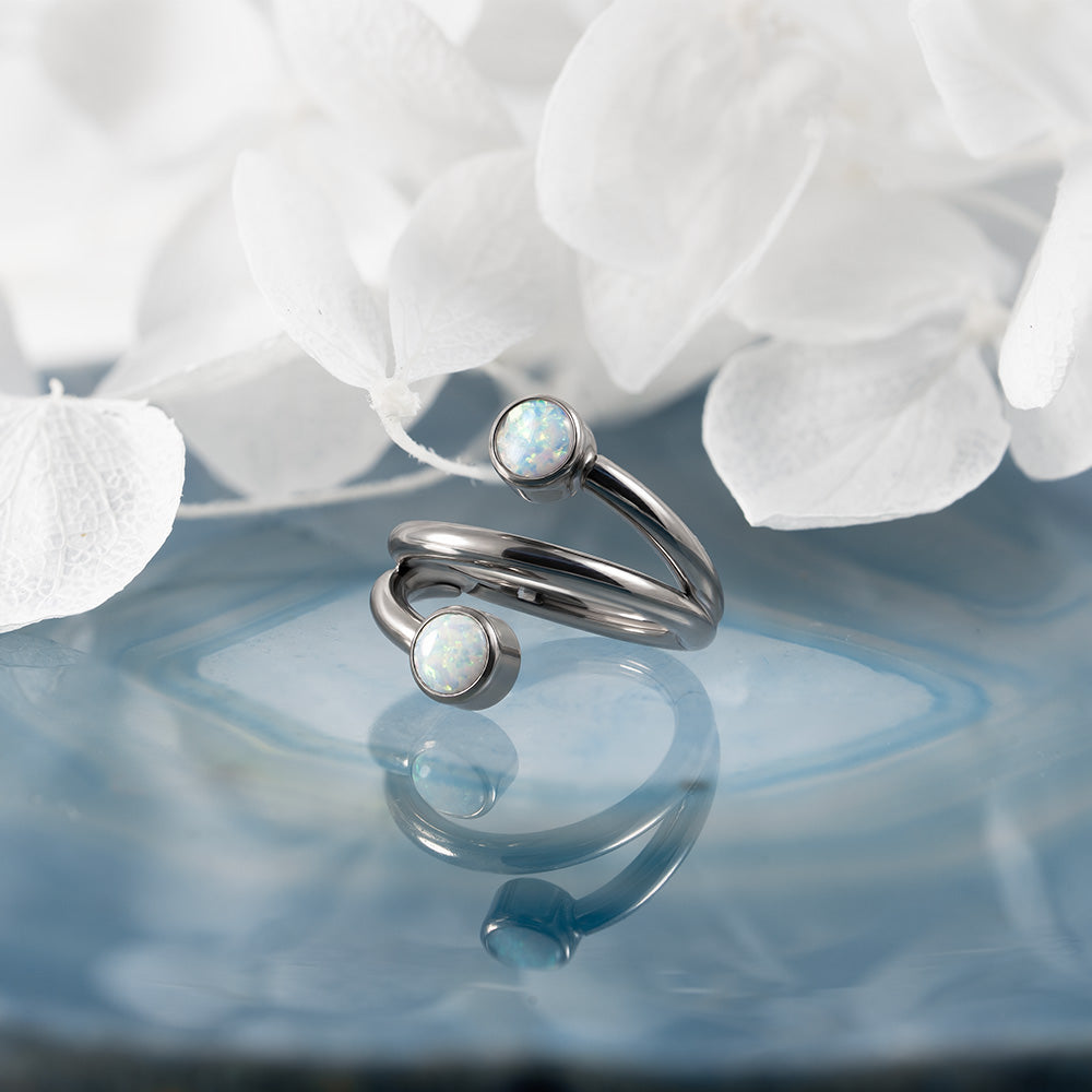 Twist Hinged Segment Ring 1.2 (16 G)