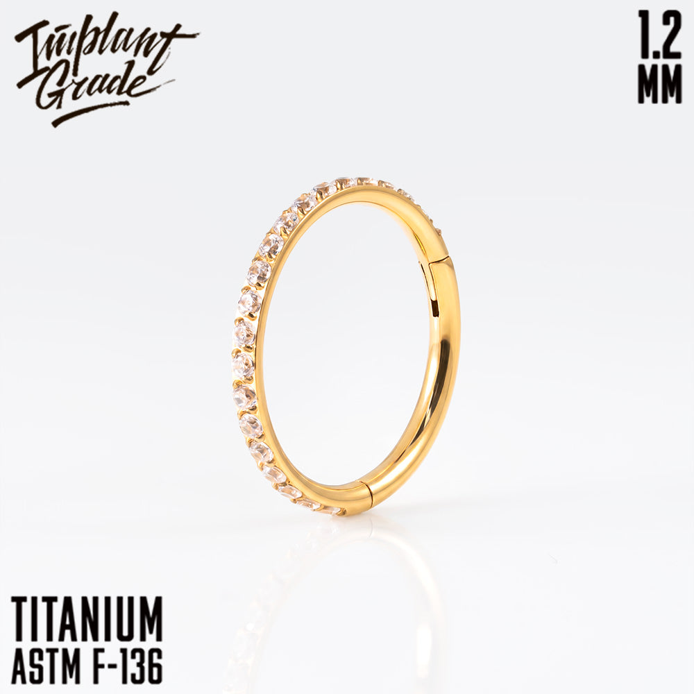 Twilight Hinged Segment Ring 1.2 (16 G)