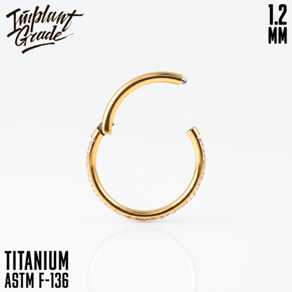 Twilight Hinged Segment Ring 1.2 (16 G)